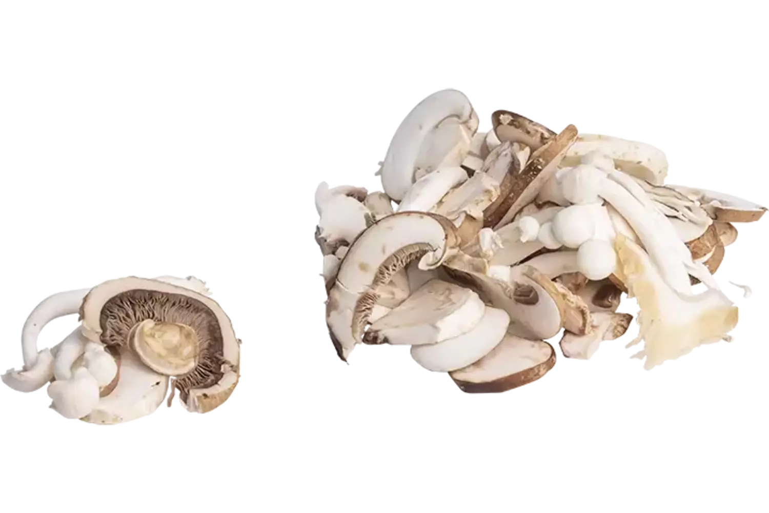 Paddenstoelenmix gesneden 1kg stuk 1